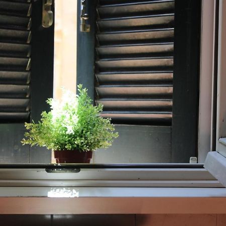 Colosseum New Charming Apartment Roma Exterior foto